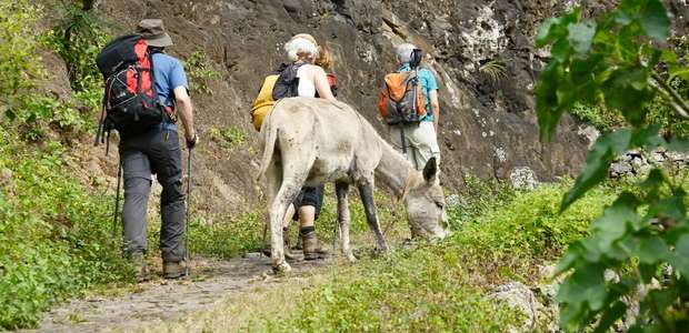 Kapverdische Insel São Nicolau Anstieg aus dem Fajatal auf Eselspfaden nach Covoada