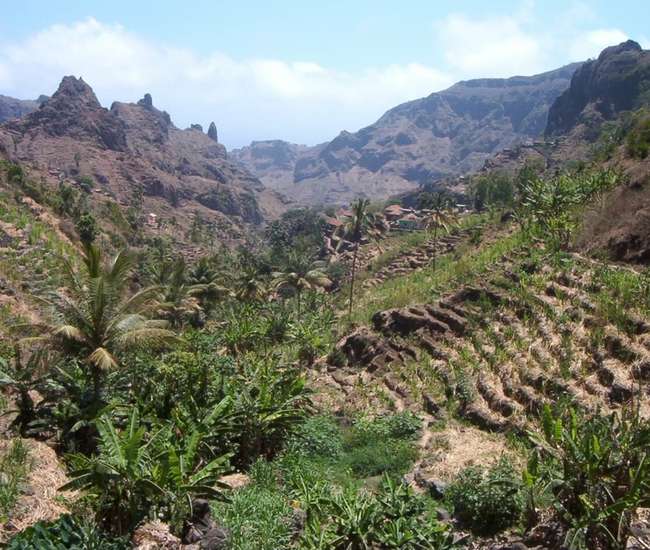 Trekking kapverdische Insel Santiago - von Cidade Velha nach Tarrafal : Die immergrüne Ribeira Principal