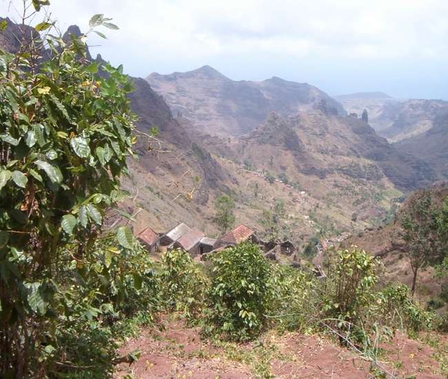 Trekking kapverdische Insel Santiago - von Cidade Velha nach Tarrafal: Kaffee in der Ribeira Principal