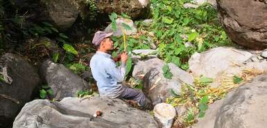 Bauer zwischen erntet zwischen Felsen Yams