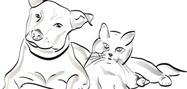 Schwarz-weiß Zeichnung eines Hundes und einer Katze