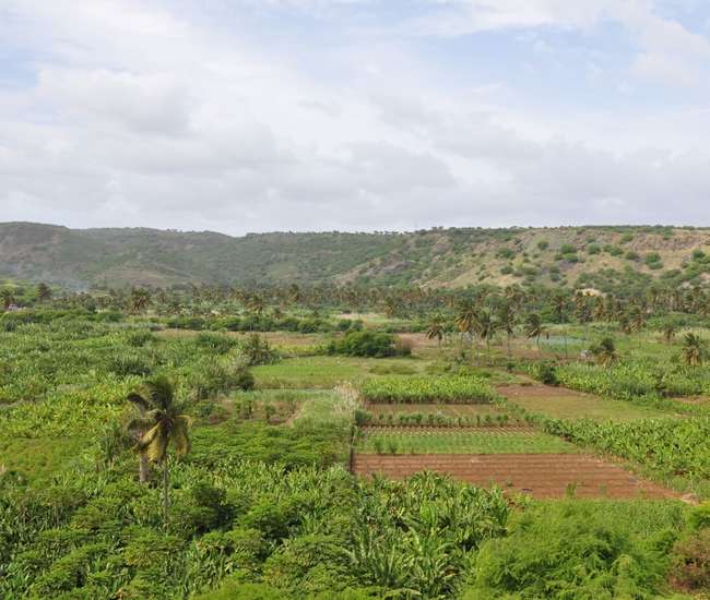 Kapverdische Insel Santiago : Highlights : Blick in die Ribeira Secca bei Achada Fazenda