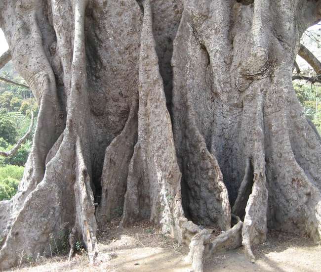 Kapverdische Insel Santiago
