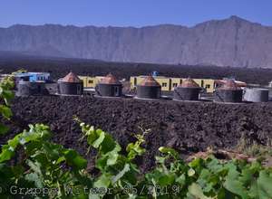 Fogo - Casa Marisa mit seinen Funkus (DZ) im Vordergrund - im Hintergrund die Rückwand der Bordeira