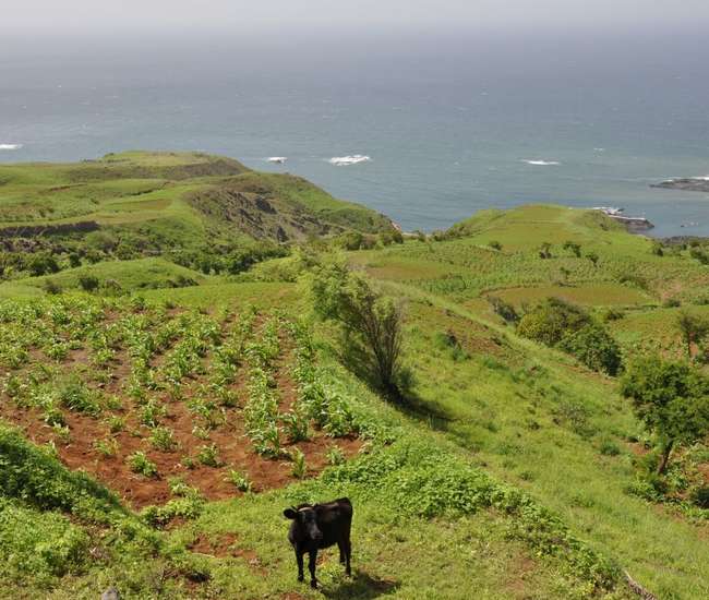 Auf demW eg nach Mosteiros