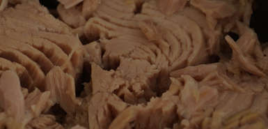 Nahaufnahme Thunfisch in der Dose