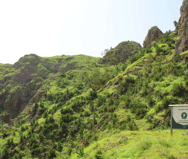 Grüne Pflanzen im Naturpark Serra Malagueta inkl. Parkschild