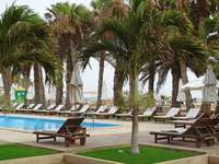 Sal: Blick auf Liegen und Pool im Hotel Morabeza