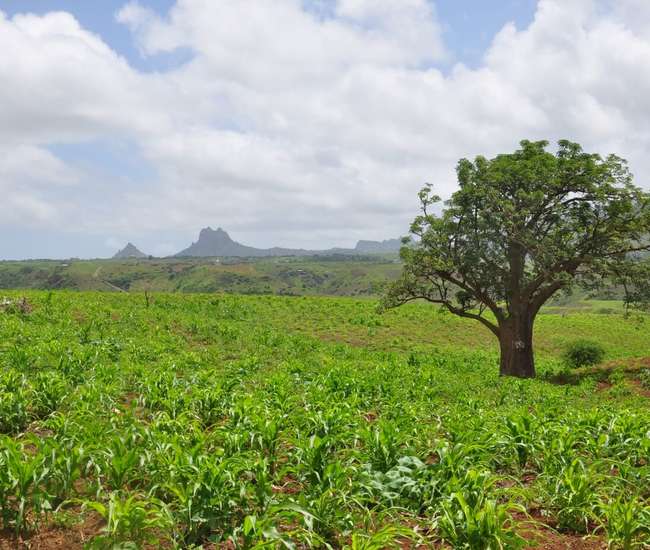 Kapverdische Hauptinsel Santiago Auf der Hochebene