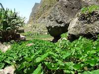 Santo Antão: Natur im Paultal